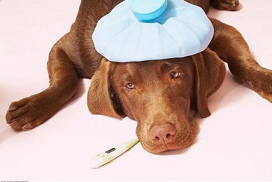 《战神5》Game Informer杂志封面公布